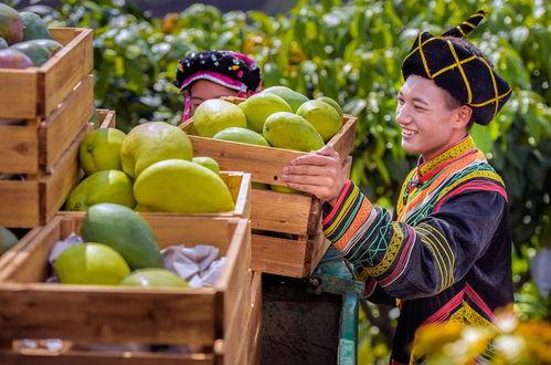 攀枝花芒果爆料视频最新,口感爆表，品质卓越！