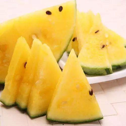 四川免费吃瓜地点,四川免费吃瓜胜地大盘点